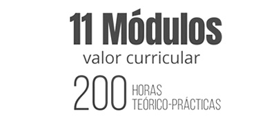 11modulos
